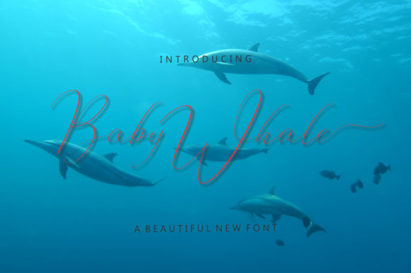Baby Whale: A Handwritten Font for Scroll-Stopping Social Content