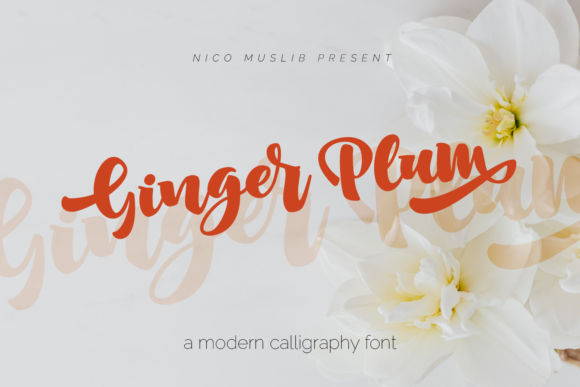 Ginger Plum: A Handwritten Font for Branding