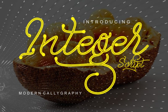 Integer Typeface Review: A Modern Script for Brand Identity