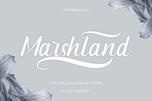Marshland: A Handwritten Font for Digital Impact