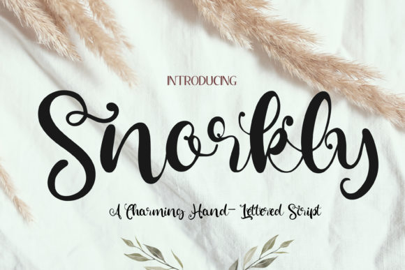Snorkly: A Whimsical Script Font for Branding